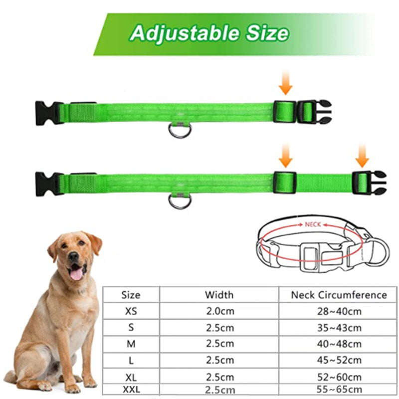 LED Luminous Collar Adjustable Glowing Dog Collar USB Rechargea  Flashing Anti-Lost/Avoid Car Accident Collar Dogs Pet Products