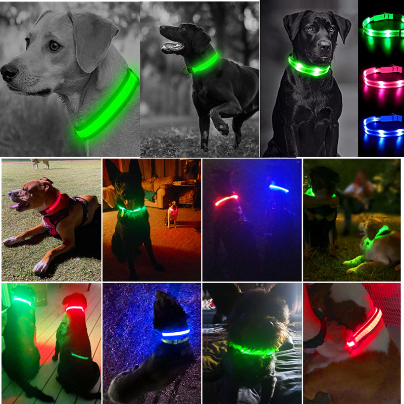 LED Luminous Collar Adjustable Glowing Dog Collar USB Rechargea  Flashing Anti-Lost/Avoid Car Accident Collar Dogs Pet Products