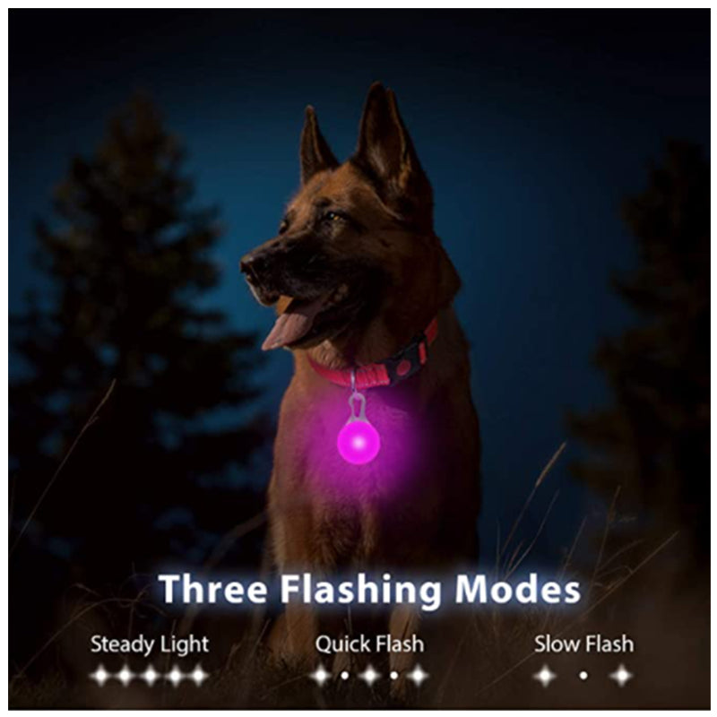 LED Luminous Collar Adjustable Glowing Dog Collar USB Rechargea  Flashing Anti-Lost/Avoid Car Accident Collar Dogs Pet Products